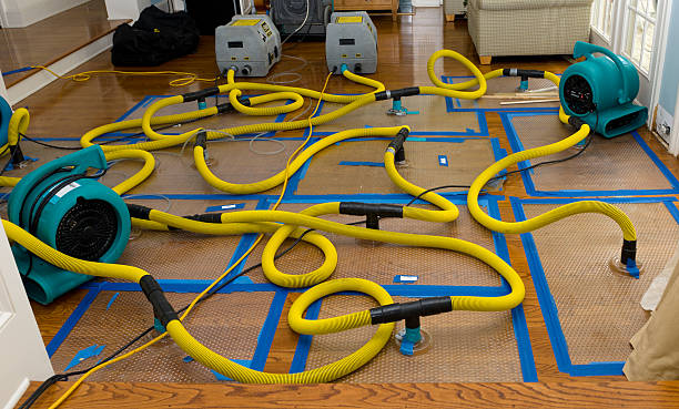 Professional Burst Pipe Water Damage technician working in Burlison, TN